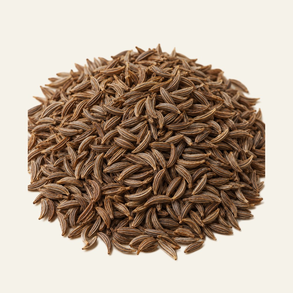Dried caraway seeds, Carum carvi